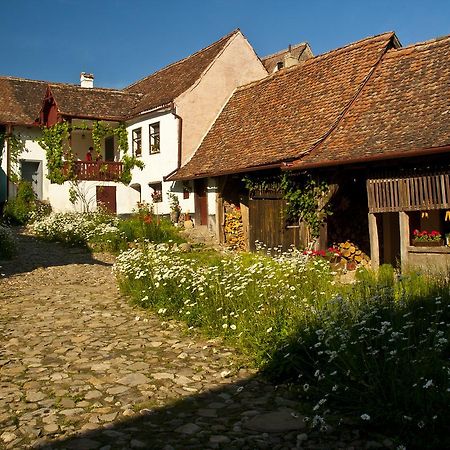 Casa Cu Zorele, Crit 189 Zewnętrze zdjęcie