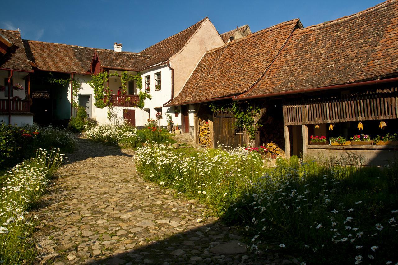 Casa Cu Zorele, Crit 189 Zewnętrze zdjęcie